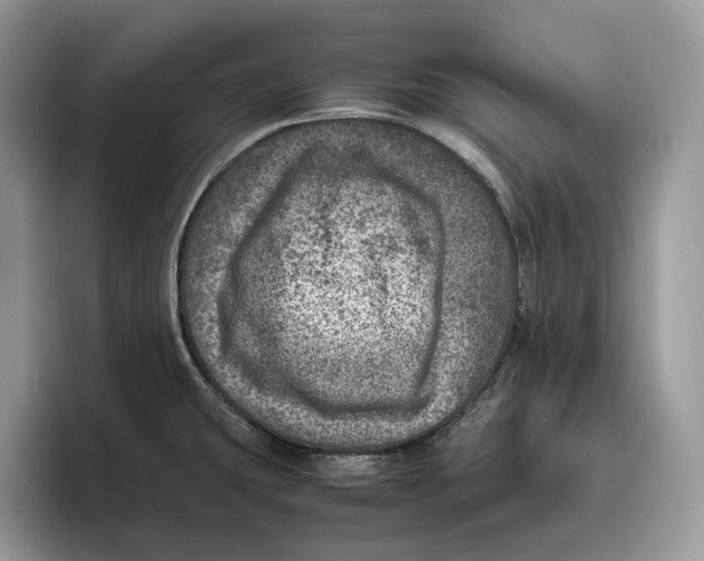 X0000095941431200802011032