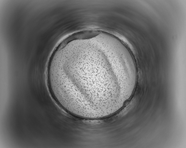 X0000095941432200802011032