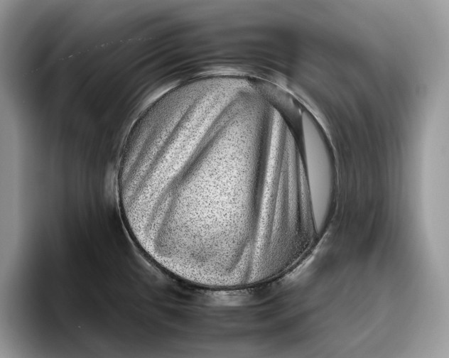 X0000095941433200802011032