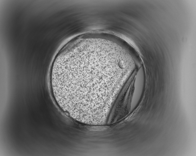 X0000095941440200802011032