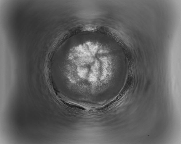 X0000095941441200802011032