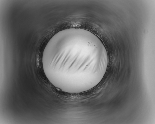 X0000095941442200802011032