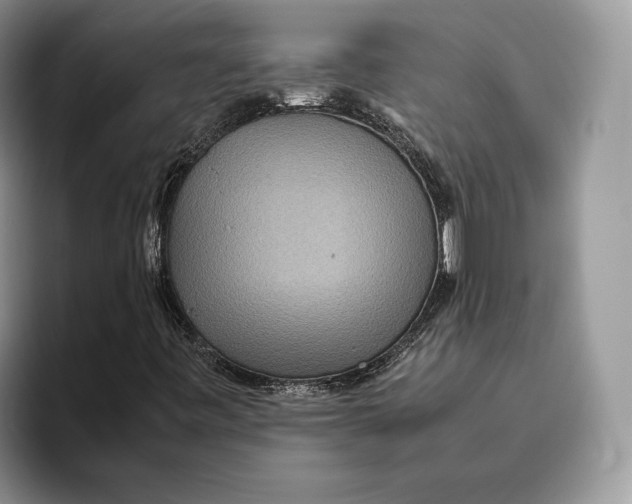 X0000095941443200802011032