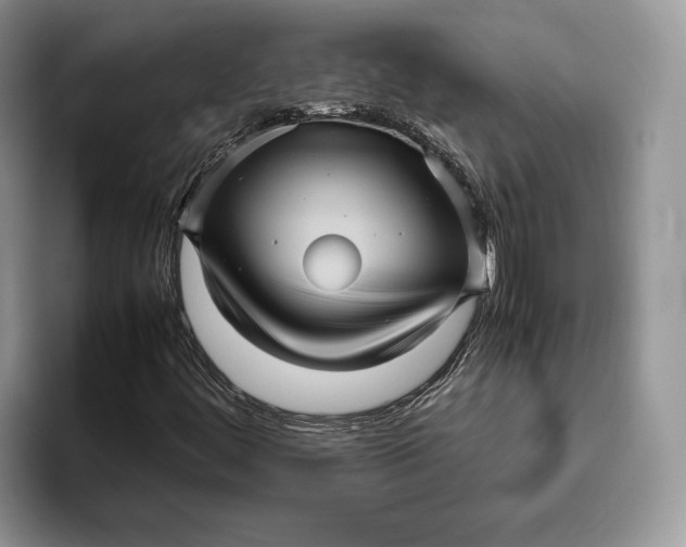 X0000095941444200802011032