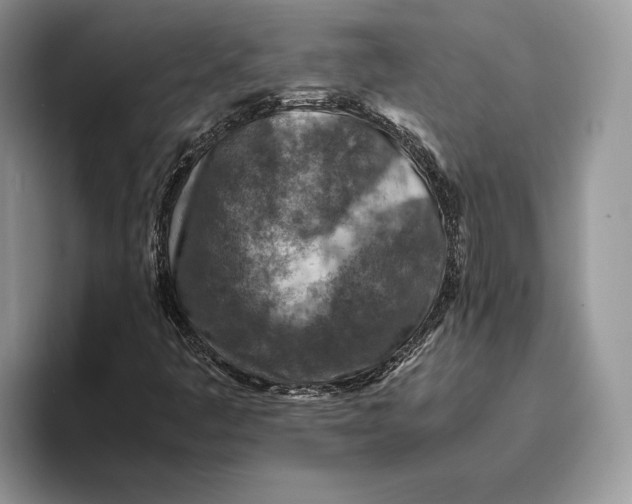 X0000095941445200802011032