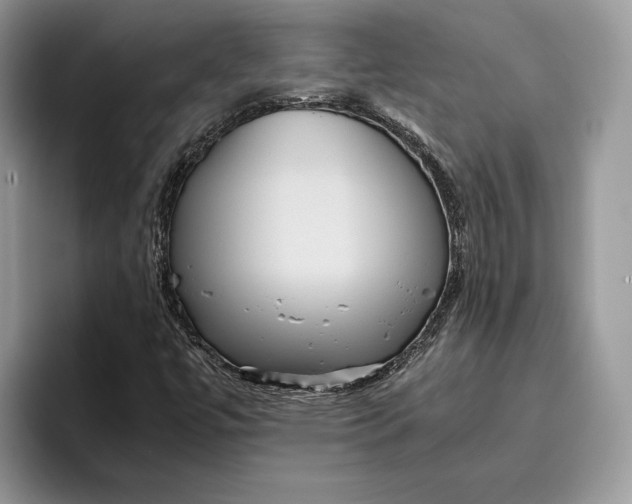 X0000095941447200802011032