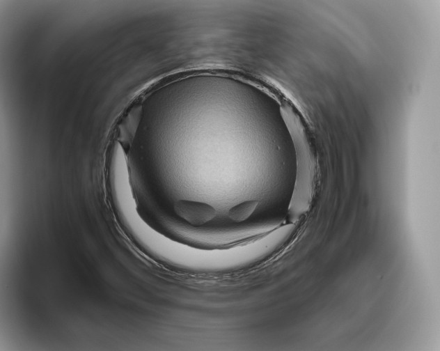 X0000095941452200802011032