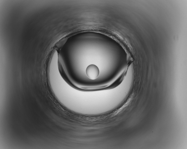 X0000095941453200802011032