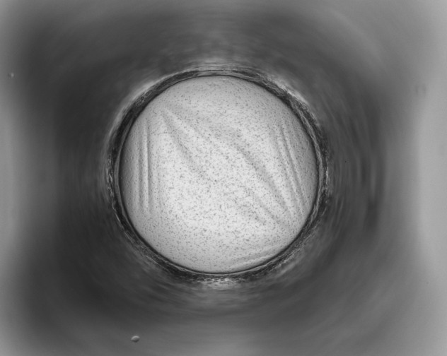 X0000095941454200802011032