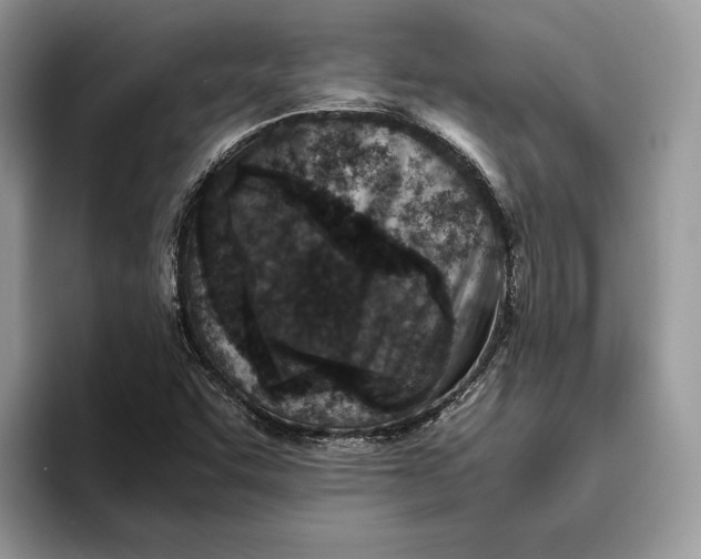 X0000095941455200802011032