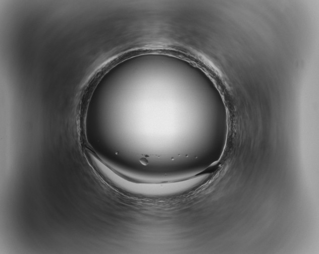 X0000095941456200802011032