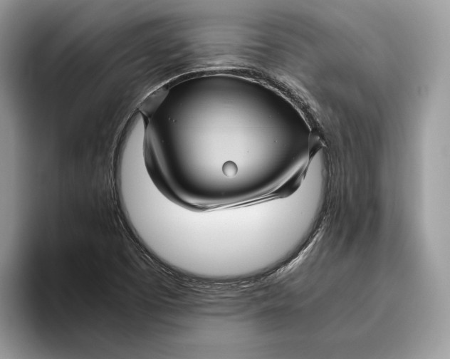 X0000095941457200802011032