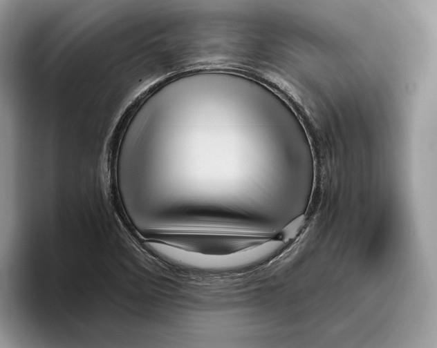 X0000095941458200802011032