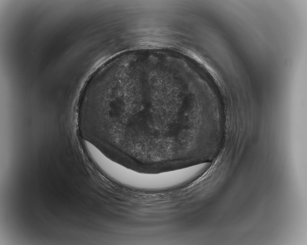 X0000095941459200802011031