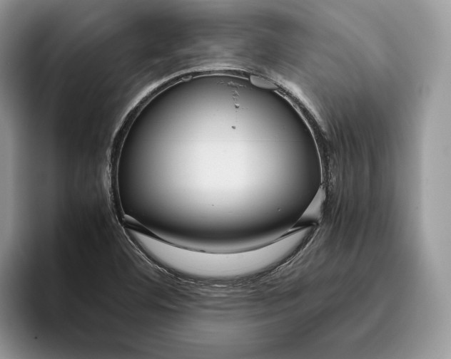 X0000095941460200802011031