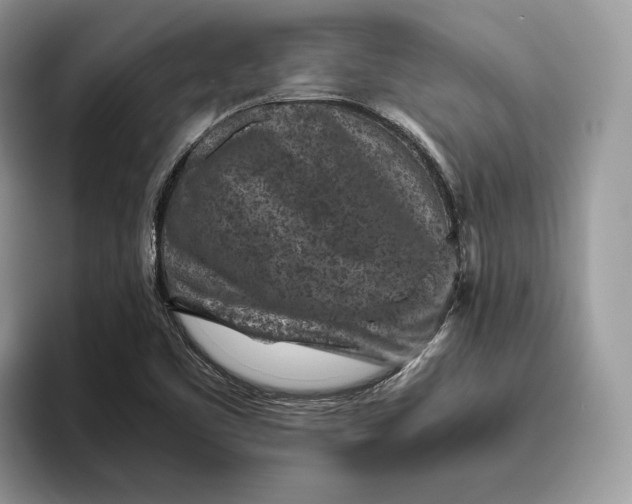 X0000095941461200802011031