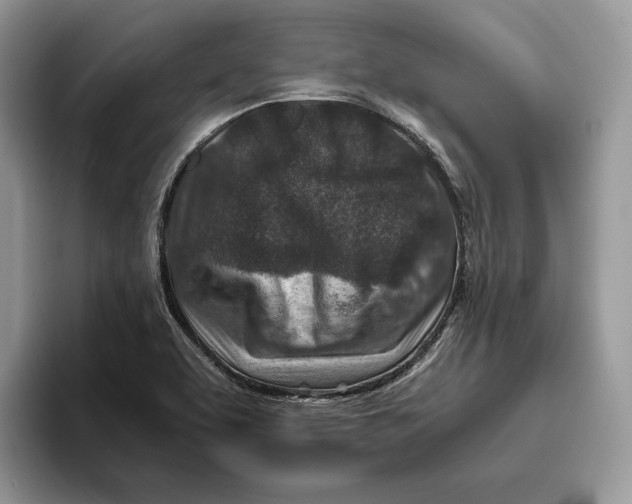 X0000095941463200802011031