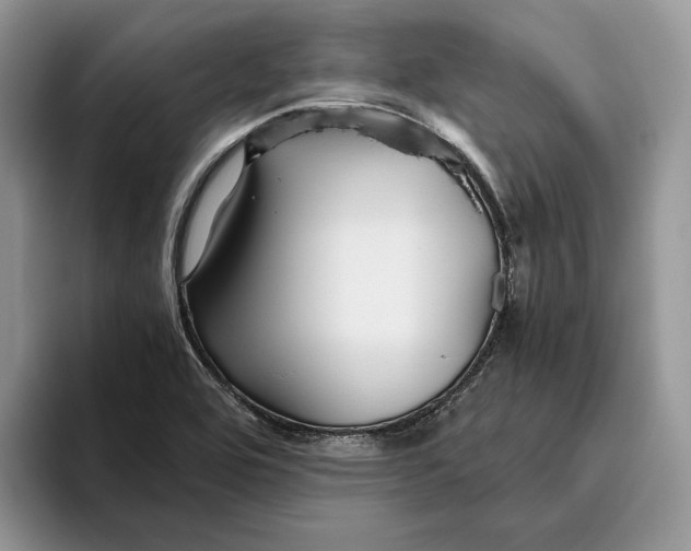 X0000095941464200802011031