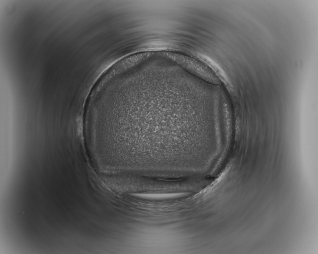 X0000095941465200802011031