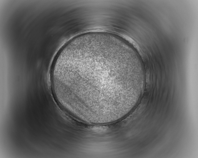 X0000095941466200802011031