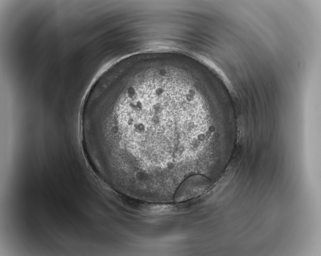 X0000095941467200802011031