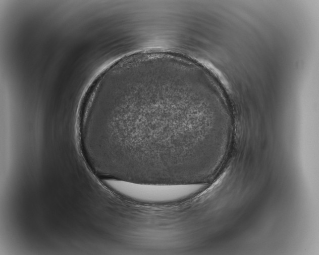 X0000095941469200802011031