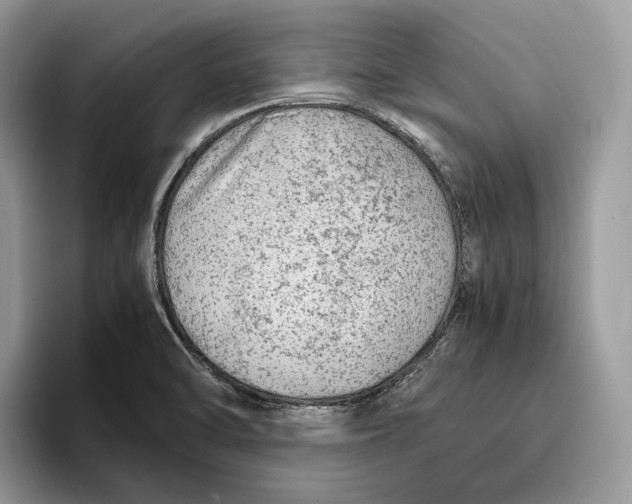 X0000095941470200802011031