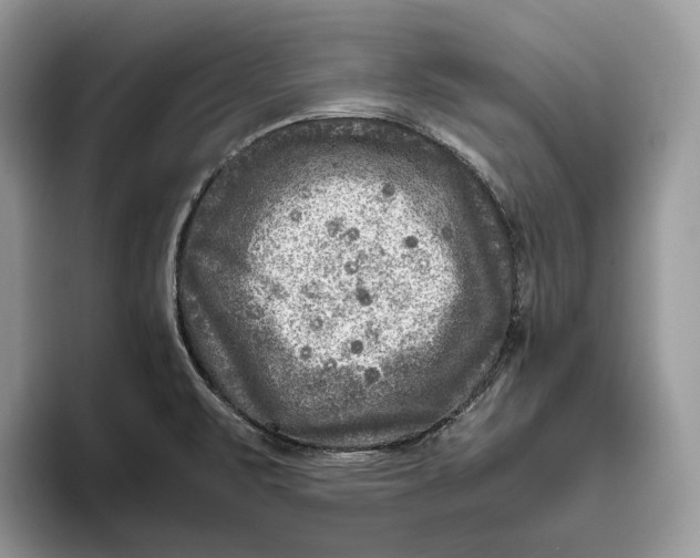 X0000095941471200802011031