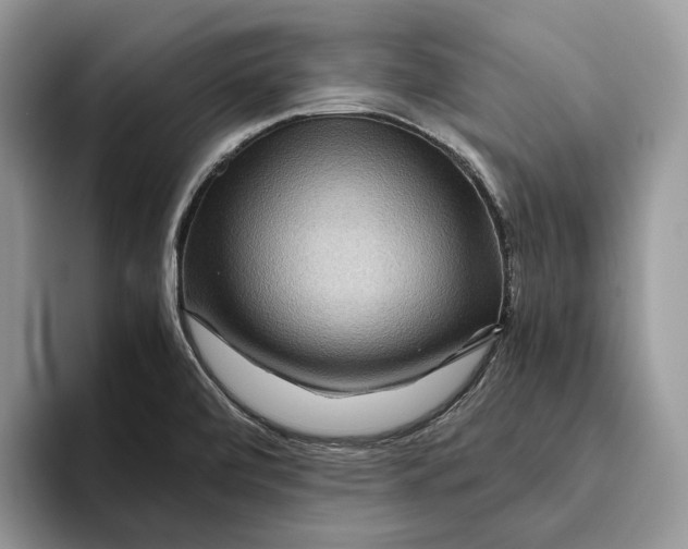 X0000095941472200802011031