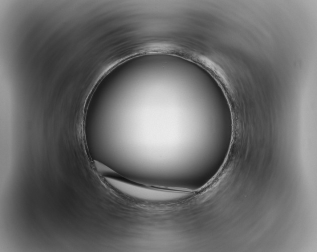 X0000095941473200802011031