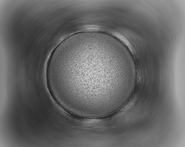 X0000095941475200802011031