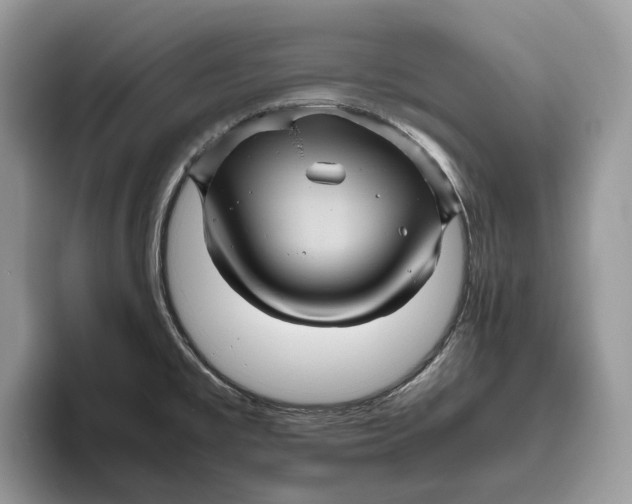 X0000095941477200802011031