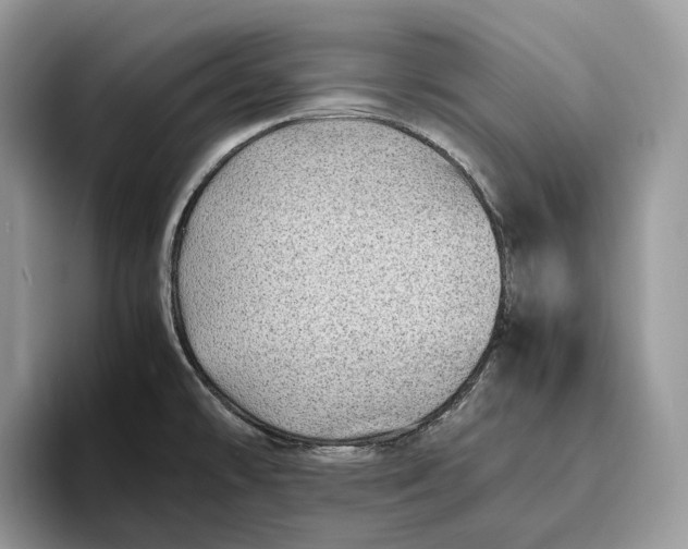 X0000095941478200802011031