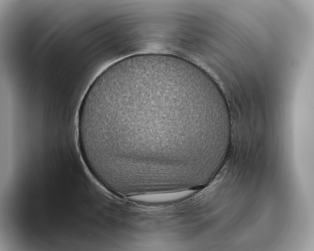 X0000095941479200802011031