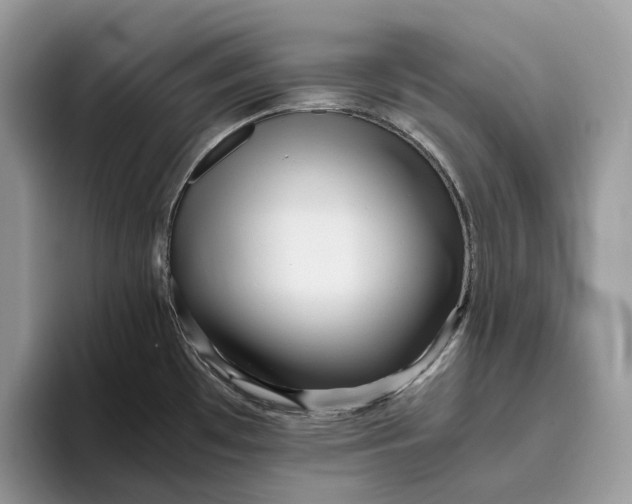 X0000095941481200802011031