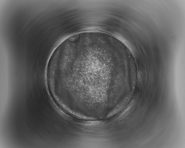 X0000095941482200802011031