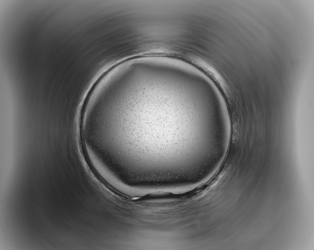 X0000095941483200802011031