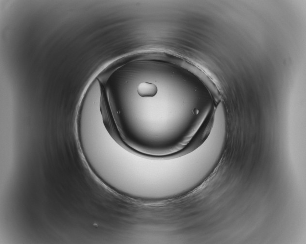 X0000095941484200802011031