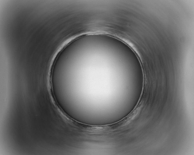 X0000095941485200802011031