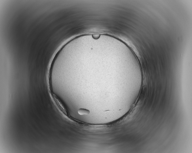 X0000095941486200802011031