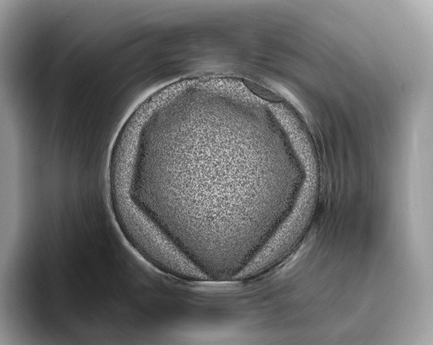 X0000095941487200802011031