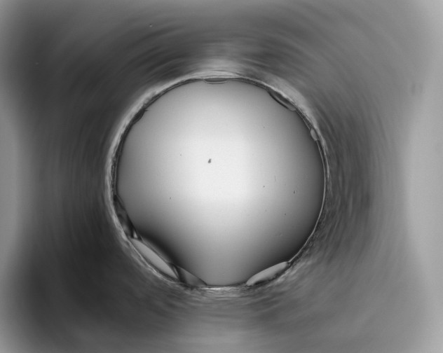 X0000095941488200802011031