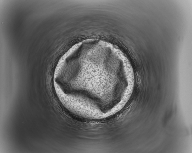 X0000095941489200802011030