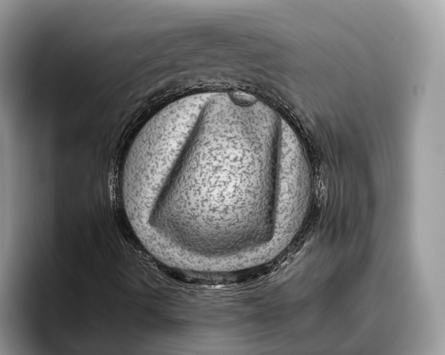 X0000095941490200802011030