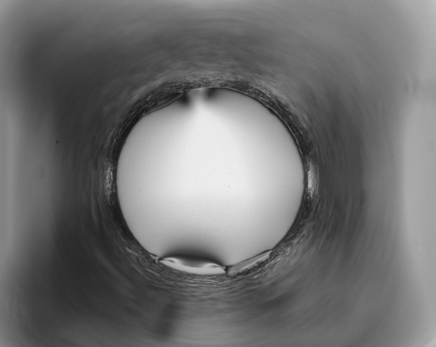 X0000095941492200802011030