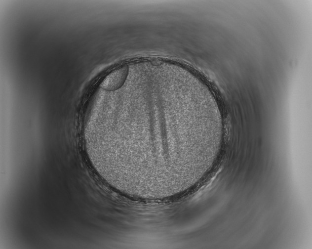 X0000095941494200802011030