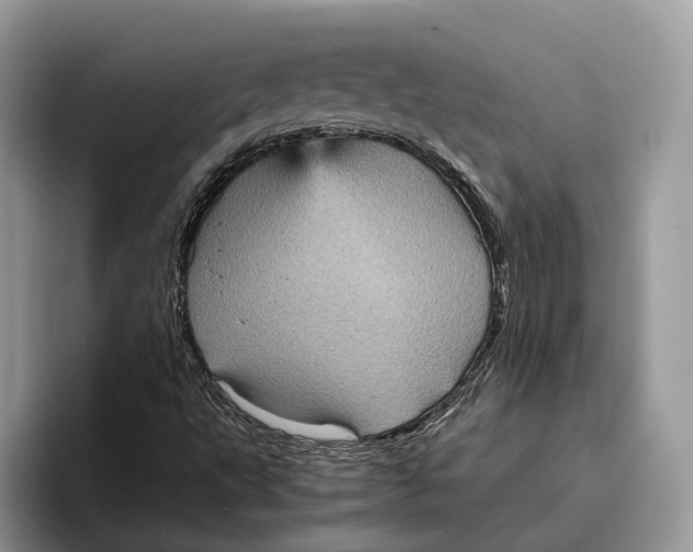 X0000095941495200802011030