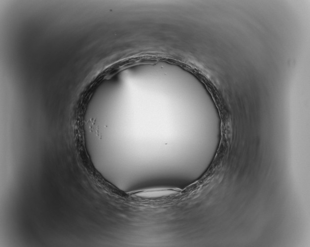 X0000095941496200802011030