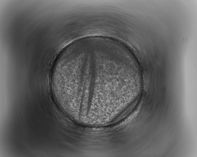 X0000095941497200802011030