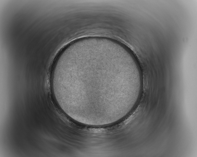 X0000095941498200802011030